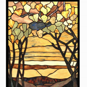 CH1P218AF25-GPN Window Panel