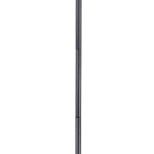 CH33313VI18-FL2 Floor Lamp